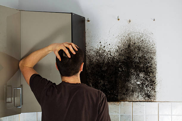 Central Square, NY Mold Remediation Company